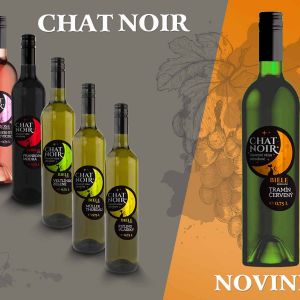 CHAT NOIR vina 200x150mm